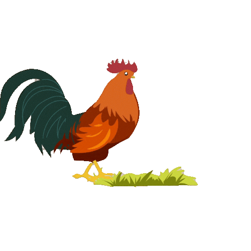 Poultry